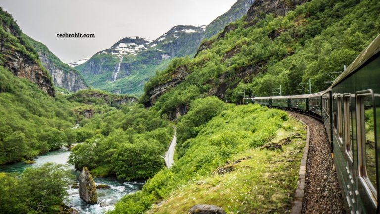 Travel Industry Reports Surge in Eco-Tourism