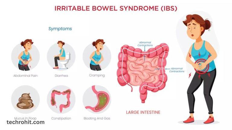 Everything You Need to Know About the 3 IBS Types Today