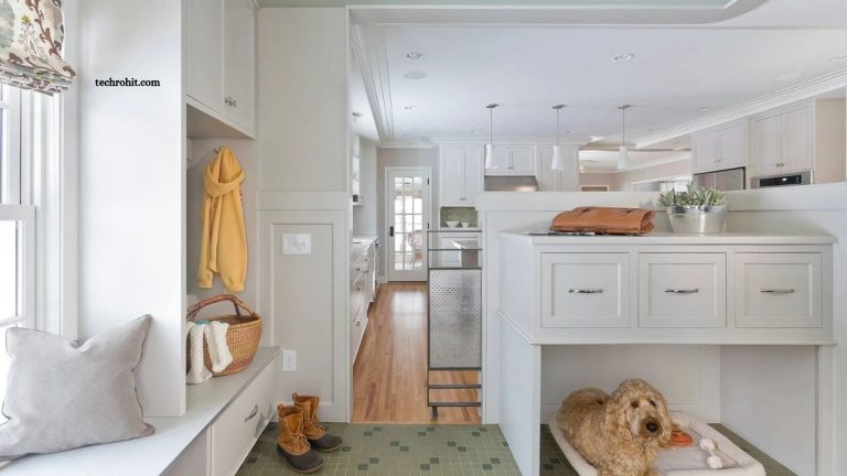How to Make Your Home Safe for Pets