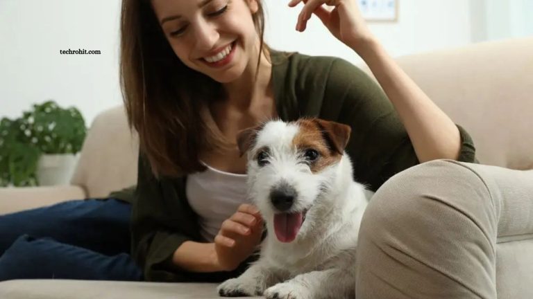 Mistakes New Pet Owners Should Avoid Mistakes New Pet Owners Should Avoid
